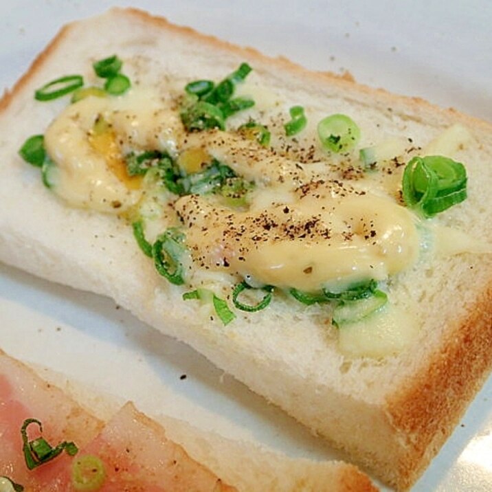 タルタルで　葱とチーズのスパイシートースト